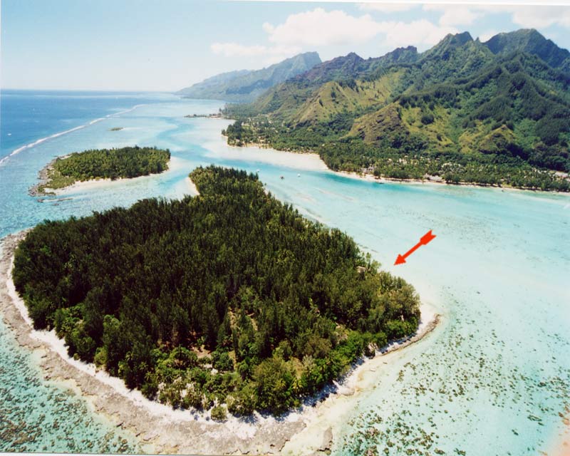 Private villa for rent. House for rent in Moorea, Tahiti.